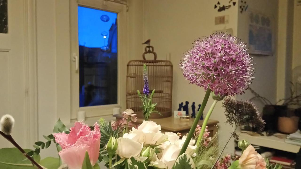 Rachel Bed and Breakfast Μπριζ Εξωτερικό φωτογραφία